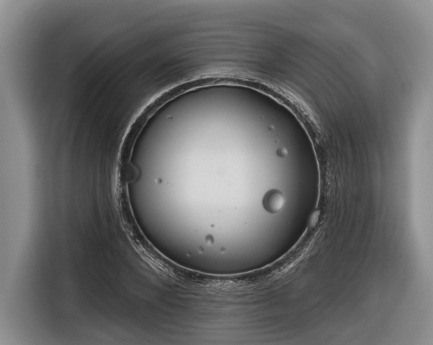 X0000116670880200912211601