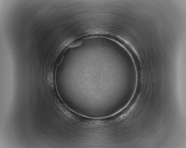 X0000116670881200912211601