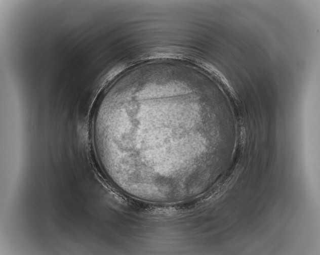 X0000116670882200912211601