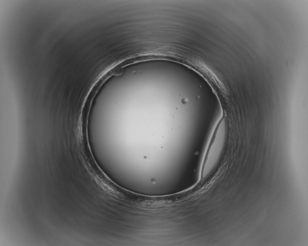 X0000116670884200912211601