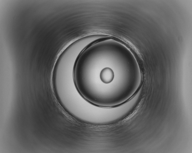 X0000116670885200912211601