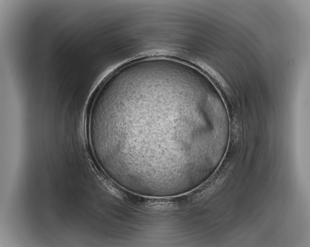 X0000116670886200912211601