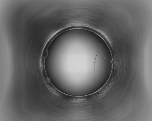 X0000116670887200912211601