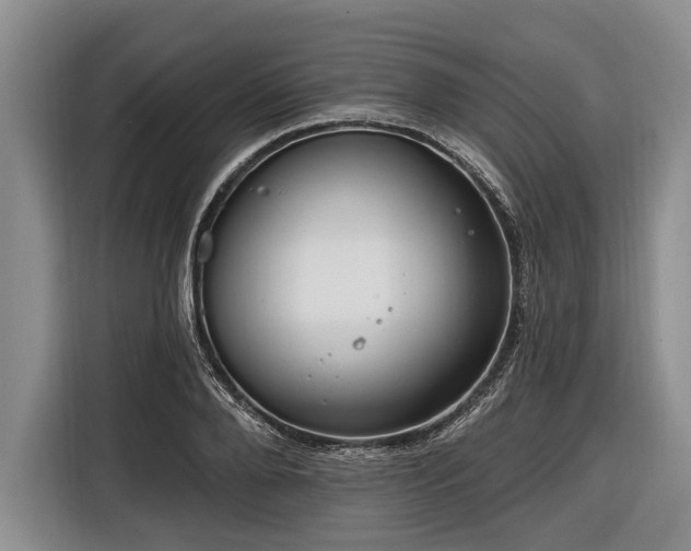 X0000116670888200912211601