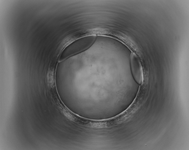 X0000116670889200912211601