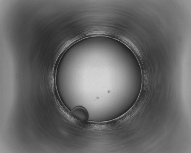 X0000116670890200912211601