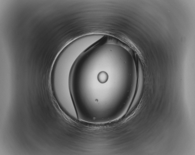 X0000116670892200912211601