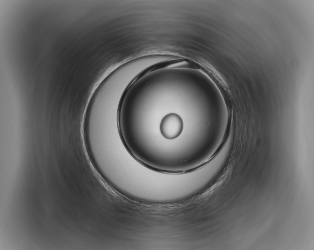 X0000116670893200912211601