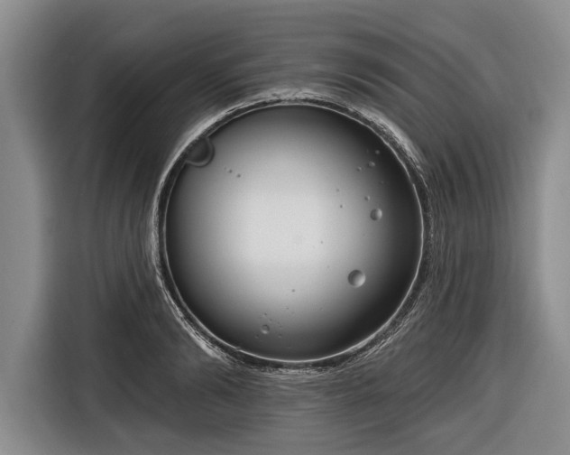 X0000116670894200912211601