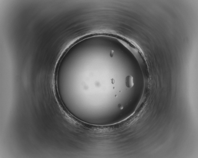 X0000116670895200912211601