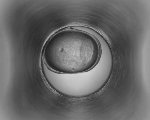 X0000116670896200912211601