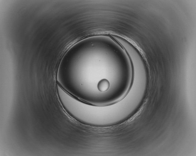 X0000116670897200912211601