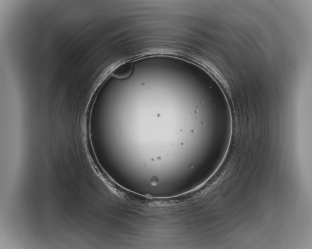 X0000116670898200912211601