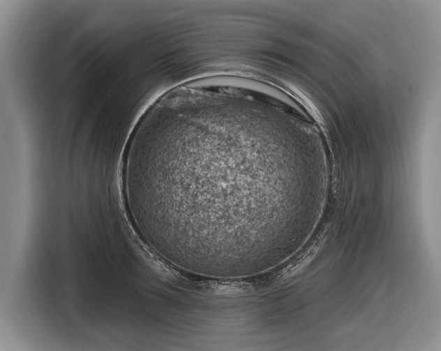 X0000116670899200912211601