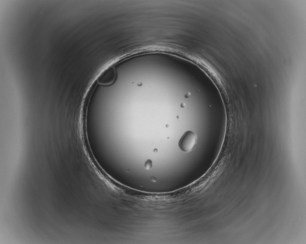 X0000116670902200912211601