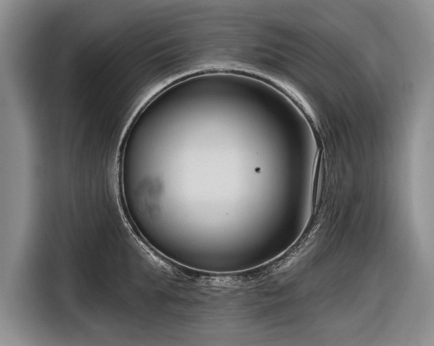 X0000116670903200912211601