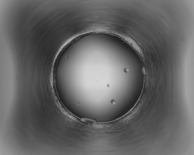 X0000116670904200912211601