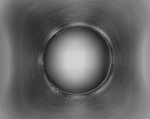 X0000116670905200912211601