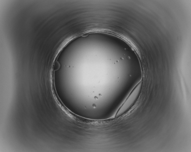 X0000116670906200912211601