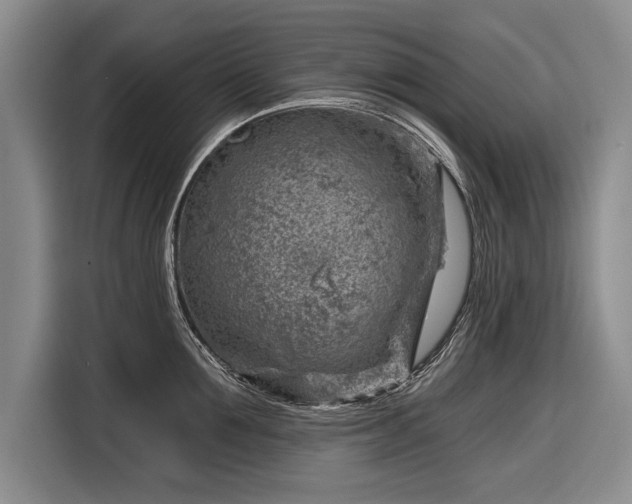 X0000116670907200912211601