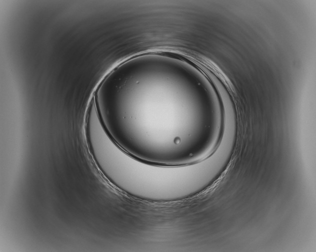 X0000116670908200912211601