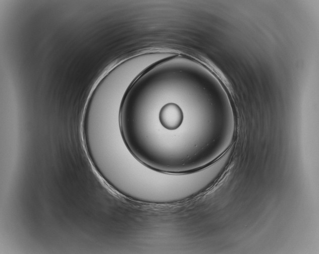 X0000116670909200912211601