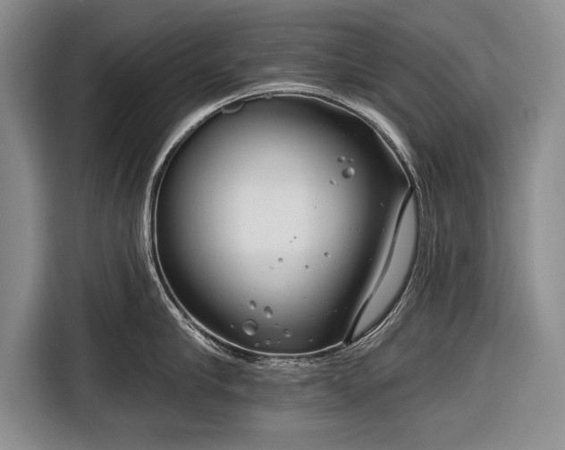 X0000116670910200912211601