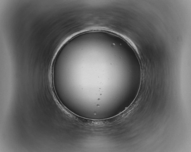 X0000116670911200912211601