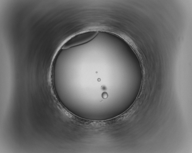 X0000116670912200912211601