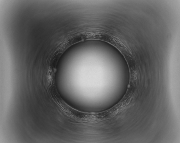 X0000116670914200912211600