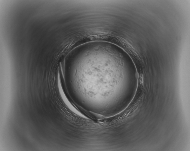 X0000116670915200912211600