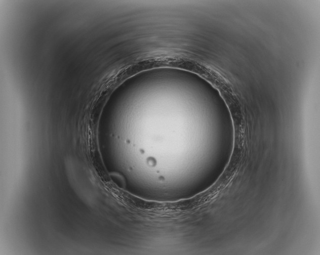 X0000116670917200912211600