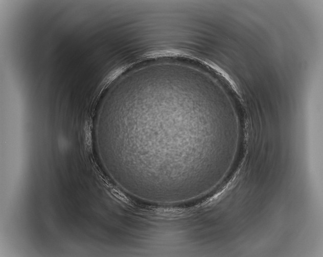 X0000116670921200912211600