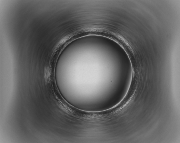 X0000116670922200912211600