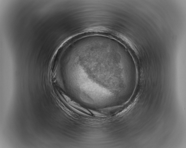 X0000116670923200912211600