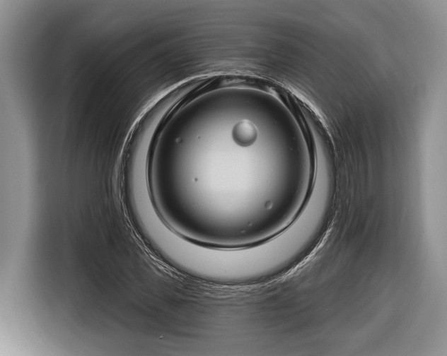 X0000116670925200912211600