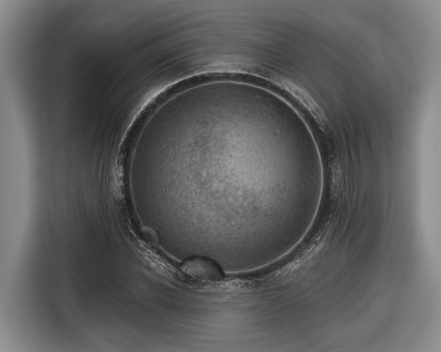 X0000116670926200912211601