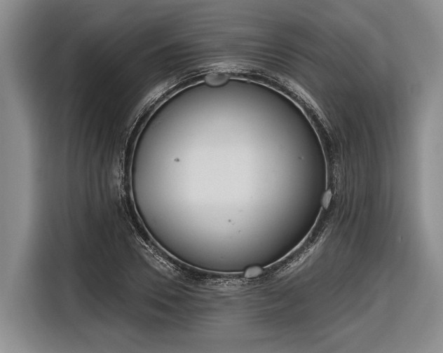 X0000116670930200912211601