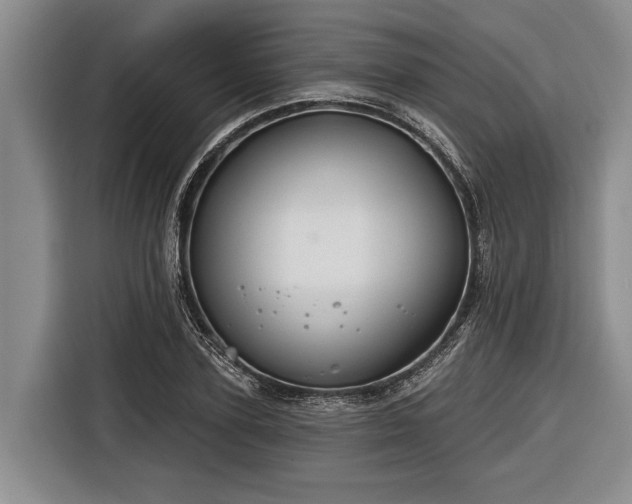 X0000116670931200912211601