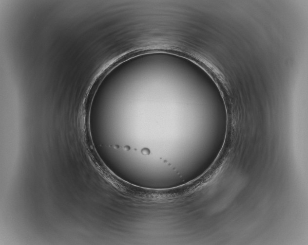 X0000116670933200912211601