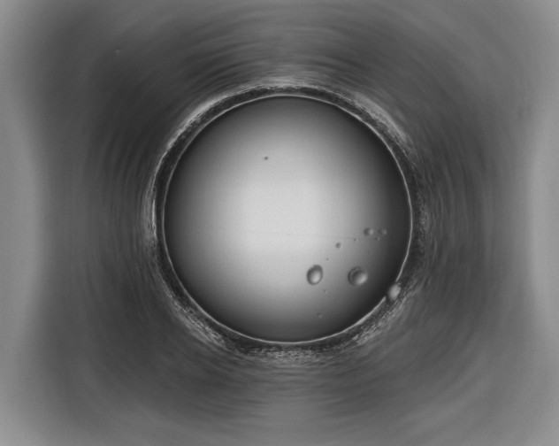 X0000116670934200912211601