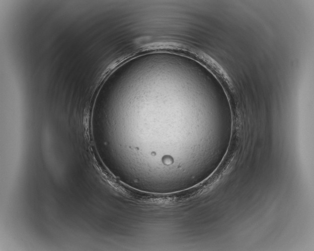 X0000116670937200912211601