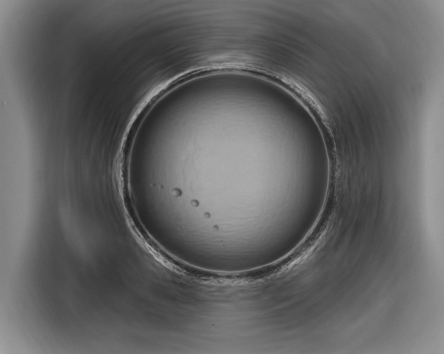 X0000116670941200912211601