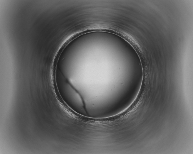 X0000116670942200912211601