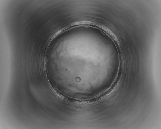 X0000116670945200912211601