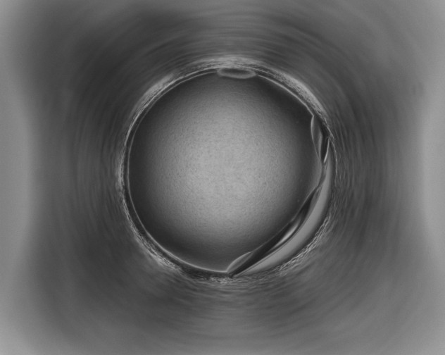 X0000116670946200912211601