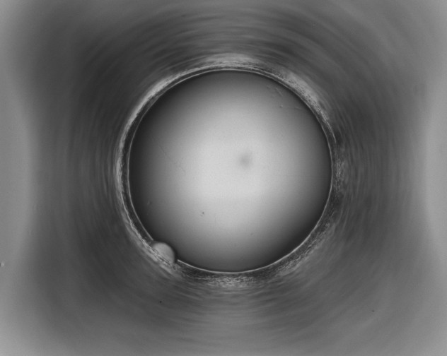 X0000116670947200912211601