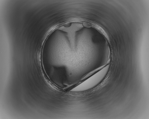 X0000116670954200912211601