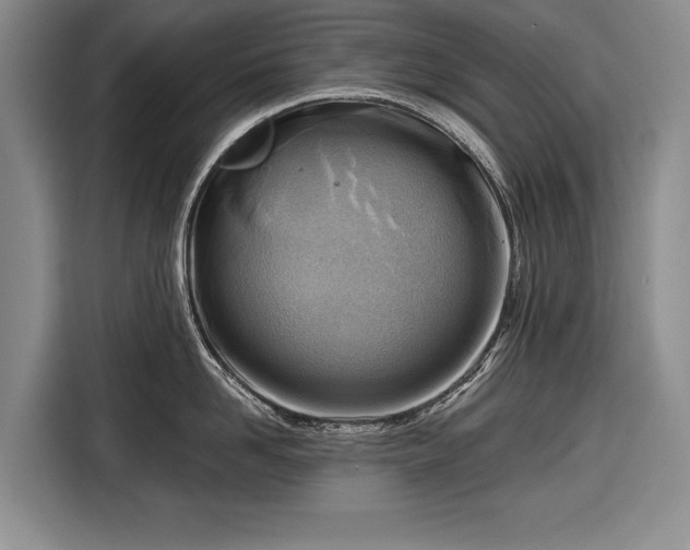 X0000116670958200912211601