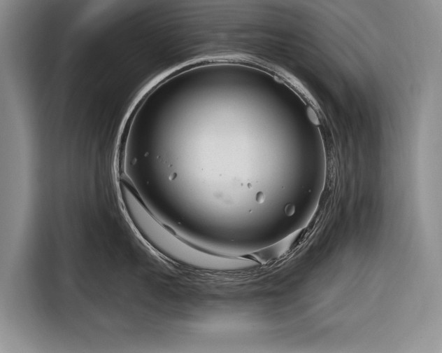 X0000116670959200912211601